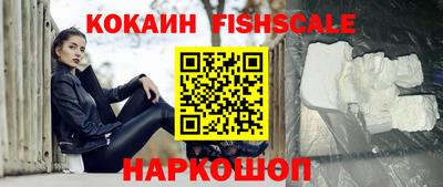 стаф Брянск