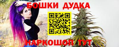 стаф Брянск