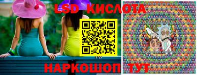 стаф Брянск