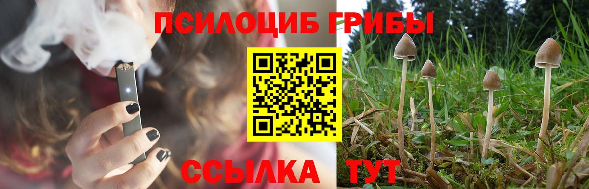 где купить наркоту  Галлюциногенные грибы Cubensis  Вход с VPN  Волгоград  Галлюциногенные грибы Psilocybe 